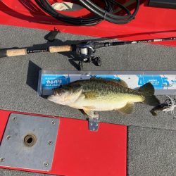 北山田サイト42cm