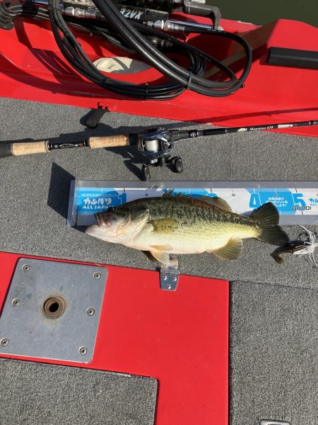 北山田サイト42cm