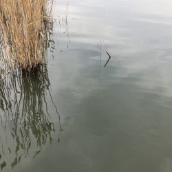 北山田サイト45cm