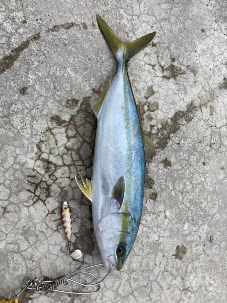 久しぶりの釣果
