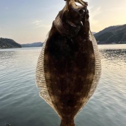 最近フラットフィッシュとの相性がいい