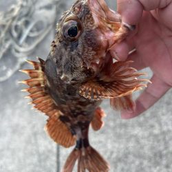 ガッシーちょいリベンジ