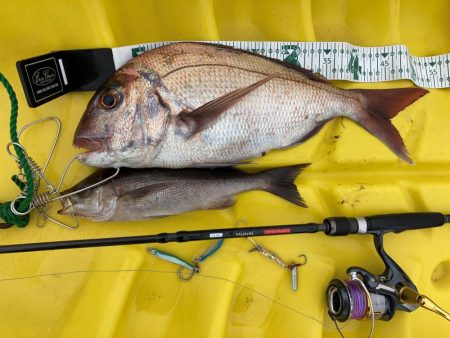 五島カヤック調査