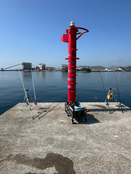 淡路島で、キス狙い