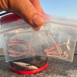 アジメバリング