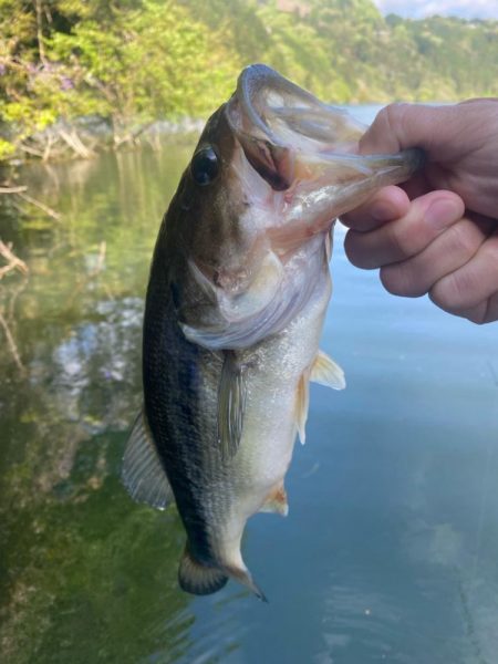 午前中ボート釣行!