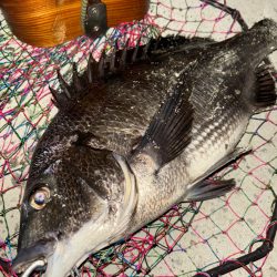 ヘチってきました