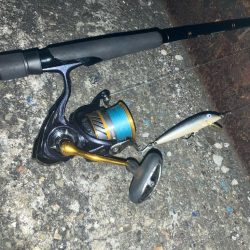 @余暇の終わりに