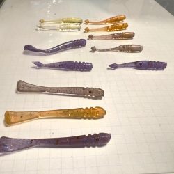 自作ワームテスト