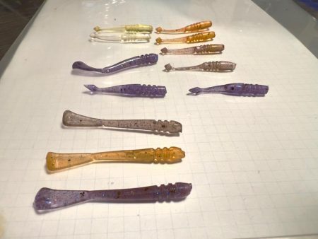 自作ワームテスト