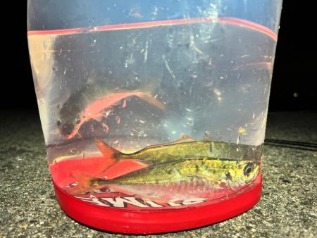 アジメバリング