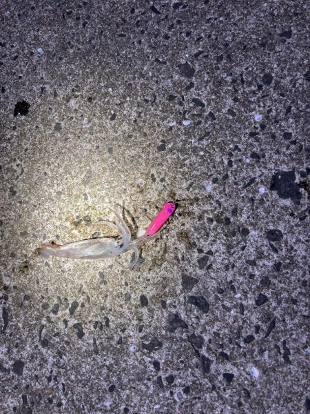 ライトゲームの新メソッド