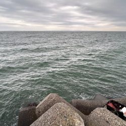 魚津港 フカセ釣り