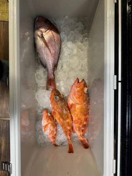 後半の釣果苦しむ