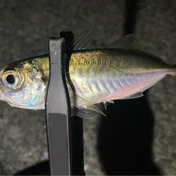 やっと雨も止んだので！