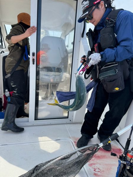 念願の中型青物