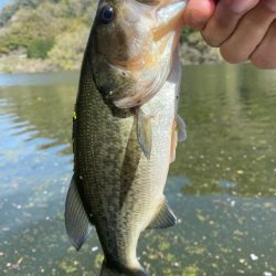 午前中ボート釣行！