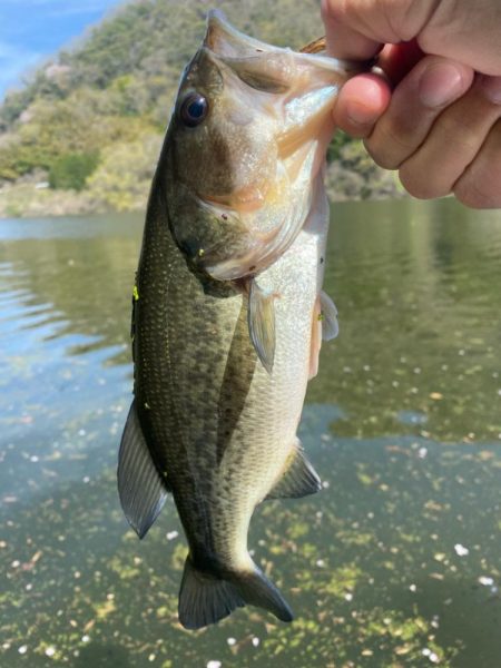 午前中ボート釣行！