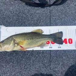 午前中ボート釣行！