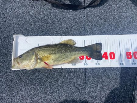 午前中ボート釣行！