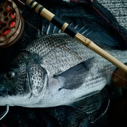 ヘチってきました