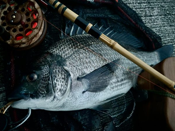 ヘチってきました