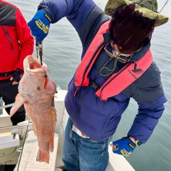 タンコブゲーム2