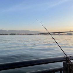 アジサイズアップ