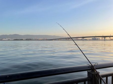 アジサイズアップ