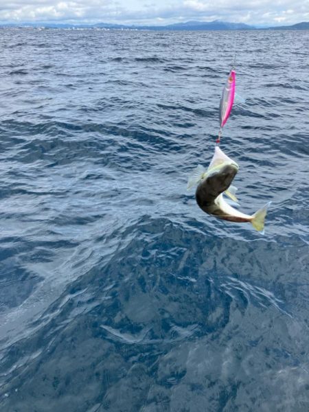 大物バラしました