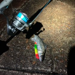 ホントに申し訳ない‼️