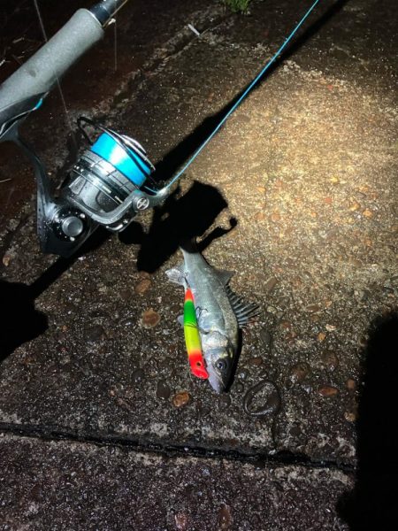 ホントに申し訳ない‼️