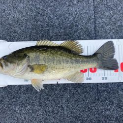 1日ボート釣行！