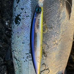 ただいま！北海道