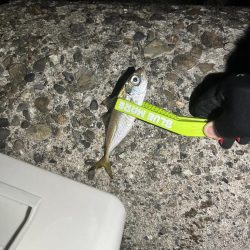 のんびりライトゲーム