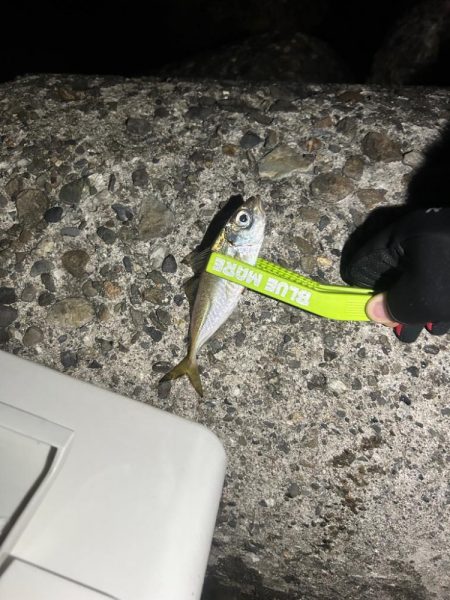 のんびりライトゲーム