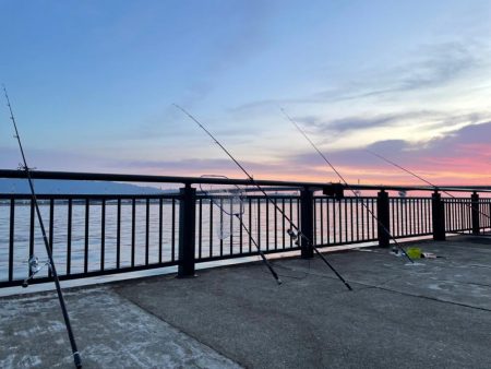 青物はおあずけ