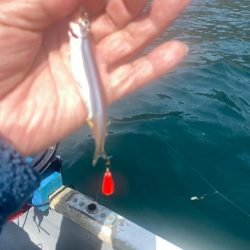 ヒメマス&わかさぎ釣り