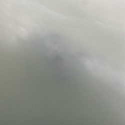 激濁りチニング