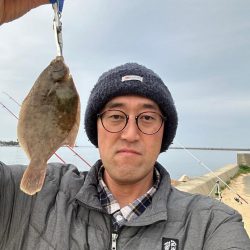 花見🌸カレイ狙い