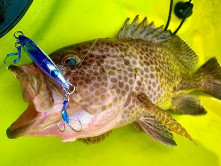 カヤックジギング