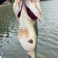 午後からボート釣行!