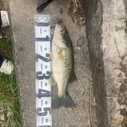 またまた早朝に