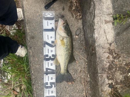 またまた早朝に