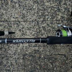 そろそろベイトが…