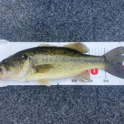 1日ボート釣行！