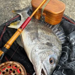 ヘチってきました