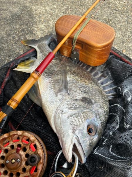 ヘチってきました