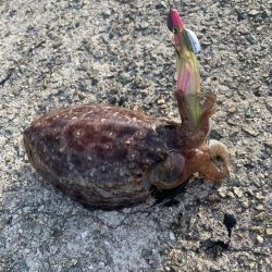 久しぶりの釣り日和