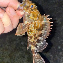 ボクにもついに春到来